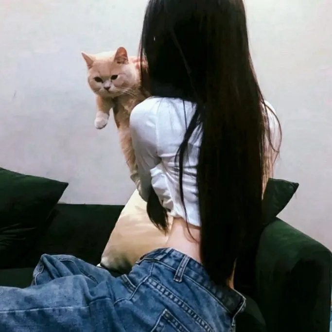 哺乳动物第一季 海报